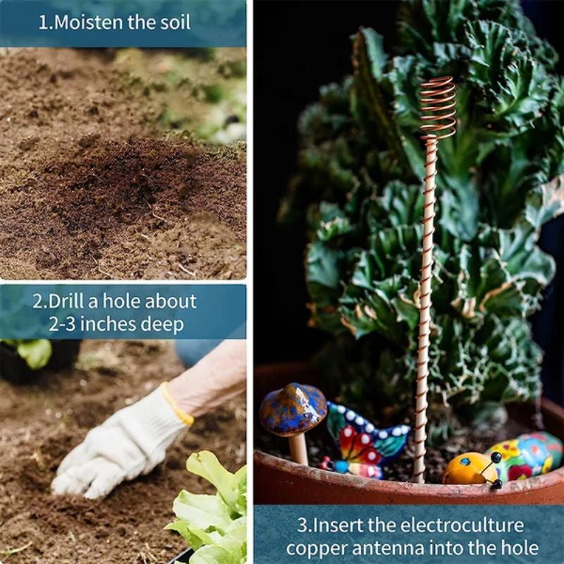 🌱⚡ Elektromosan növesztett növényállványok | Rézdrótból készült tekercses növénytartó keretek – A tartás és a vezetőképesség kombinációja, tudományosan elősegítve a növények növekedését 🔧✨