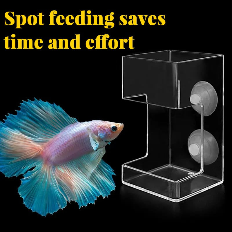 🐠🍽️ Akváriumi etetőgyűrű + etetőtál – megakadályozza a haleledel szétszóródását · csökkenti a víz szennyeződését · célzott etetés