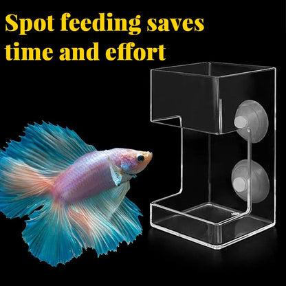 🐠🍽️ Akváriumi etetőgyűrű + etetőtál – megakadályozza a haleledel szétszóródását · csökkenti a víz szennyeződését · célzott etetés