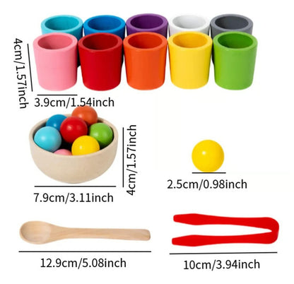 Montessori fa színosztályozó játék kisgyermekeknek | COLORSORT