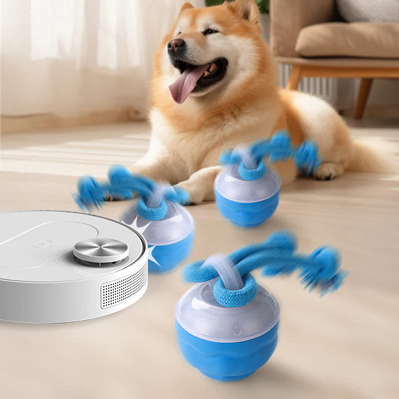 🐾⚽Interaktív elektronikus játék állatok megnyugtatására – labda