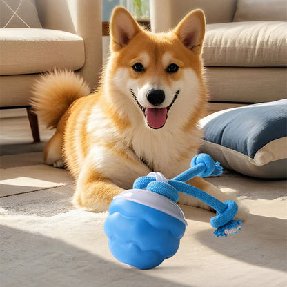 🐾⚽Interaktív elektronikus játék állatok megnyugtatására – labda