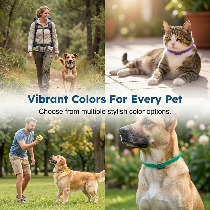 🎉🐶🐱 – Növényi kivonatokból készült bolha- és kullancsriasztó nyakörv 🌿 🐕