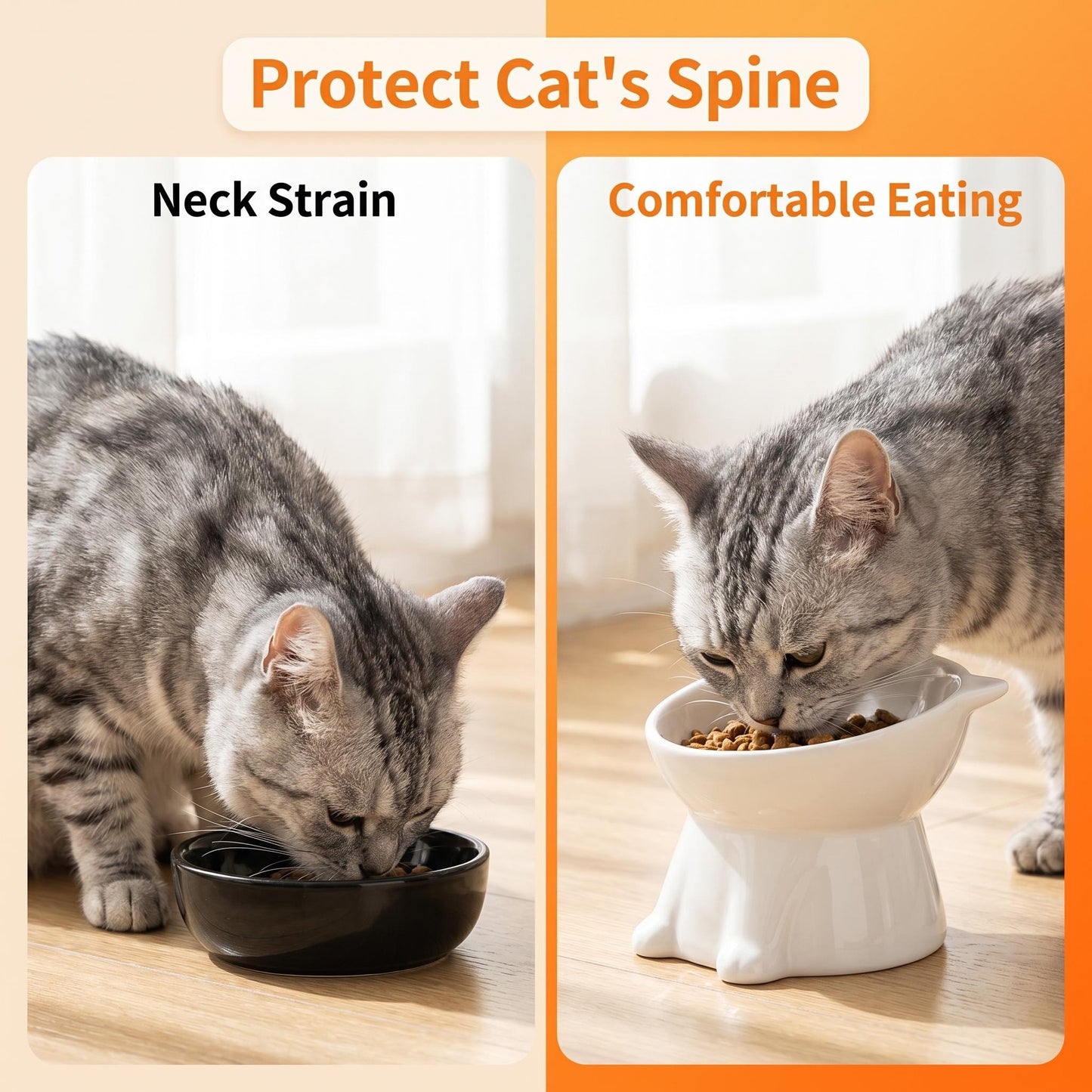 🥣Ergonómikus, magasított műanyag macskatál🐱