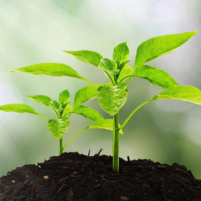 🌱 🔥 Háromfunkciós talajelemző készülék, tiszta kijelzővel 🌿