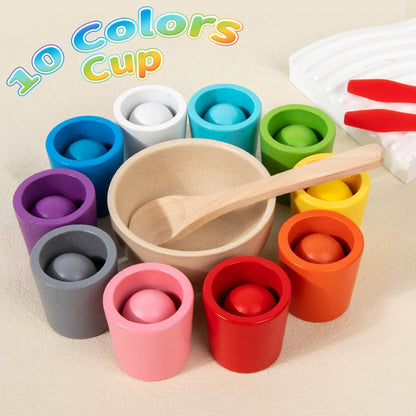 Montessori fa színosztályozó játék kisgyermekeknek | COLORSORT