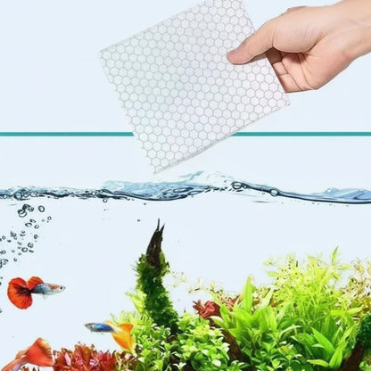 ✨ Akváriumtisztító tabletták: 24 órán át kristálytiszta víz + a kellemetlen szagok eltüntetése! 🌊 A halak és a vízinövények számára teljesen ártalmatlan 🌿🔮