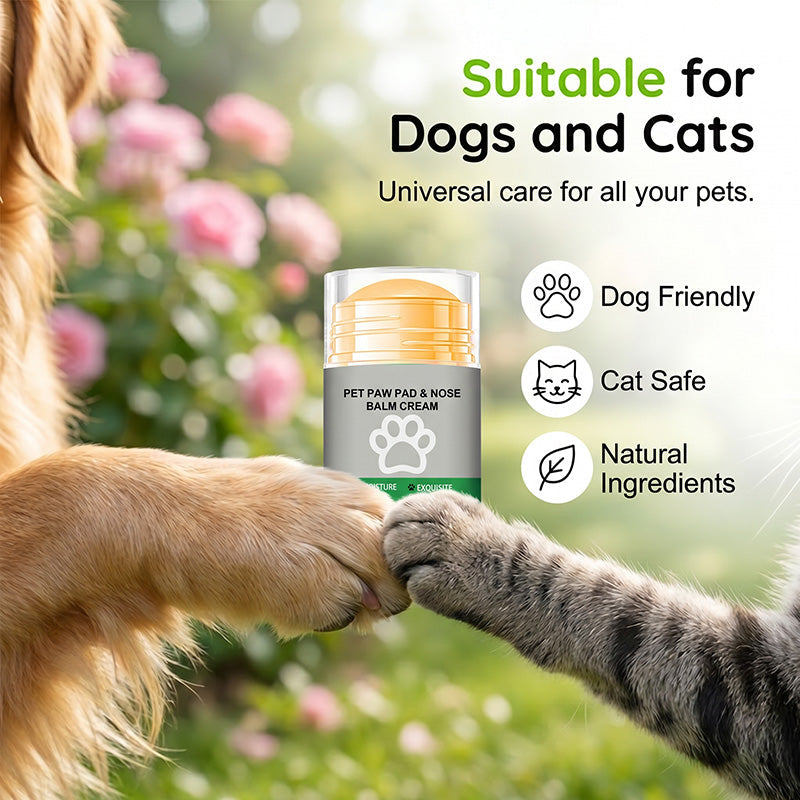 Mancsápoló stift | PAW BALM