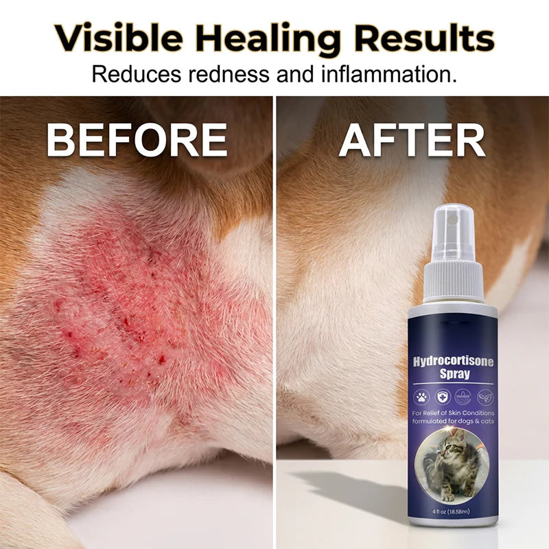 🐶 49% KEDVEZMÉNY a kutyák és macskák számára készült természetes bolha- és kullancsriasztó spray-re ✨