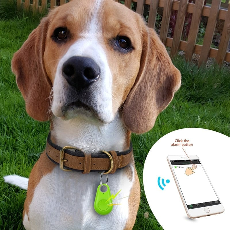 🔥 Bluetooth- és GPS-alapú vezeték nélküli háziállat-nyomkövető