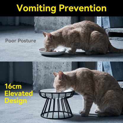 😿 A macskádnak mindig fekete az álla? Próbáld ki ezt a tálat! Kerámia, magas lábú macskatál – sima, baktériumgátló felület + nyakvédő kialakítás, állatorvosok is ajánlják 🐾💚
