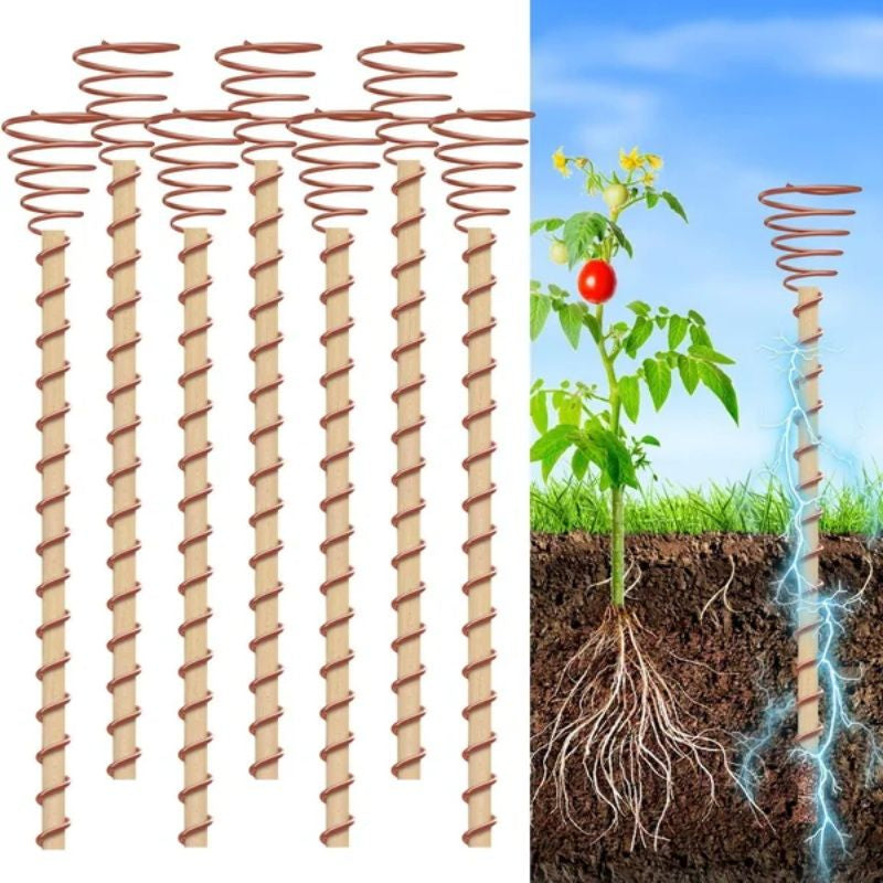 🌱⚡ Elektromosan növesztett növényállványok | Rézdrótból készült tekercses növénytartó keretek – A tartás és a vezetőképesség kombinációja, tudományosan elősegítve a növények növekedését 🔧✨
