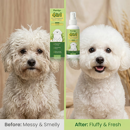 🔥Félárú akció🏷🐾 Természetes állatápoló spray – víz nélkül tisztít, hordozható