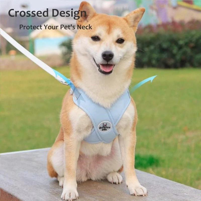 🐕 X alakú, húzásgátló mellkas- és háti hevederes póráz szett – nem szorítja a nyakat és nem akad be a torokba, az X alakú kialakítás elosztja a húzóerőt, lélegző és könnyű, sétához és edzéshez egyaránt alkalmas, utánvéttel fizethető