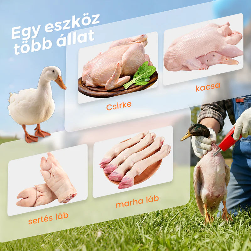 🔥🐓 Elektromos baromfi-tolltépő gép – egyszerű, idő- és energiatakarékos tolltépés! 🦆