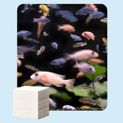 ✨ Akváriumtisztító tabletták: 24 órán át kristálytiszta víz + a kellemetlen szagok eltüntetése! 🌊 A halak és a vízinövények számára teljesen ártalmatlan 🌿🔮