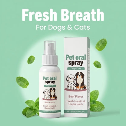 🐱🐶 Kíméletes szájápoló spray háziállatoknak – növényi összetételű, fogmosás nélkül, megszünteti a szájszagot és gátolja a káros baktériumok szaporodását, macskáknak és kutyáknak egyaránt alkalmas, utánvéttel 🦷✨